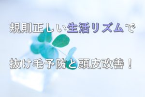 規則正しい生活リズムで抜け毛予防と頭皮改善！