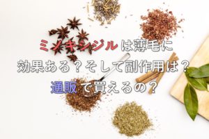 ミノキシジルは薄毛に効果ある？そして副作用は？通販で買えるの？
