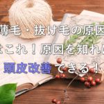 薄毛・抜け毛の原因はこれ!原因を知れば頭皮改善できる!