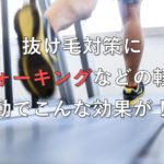 抜け毛対策にウォーキングなどの軽い運動でこんな効果が！？
